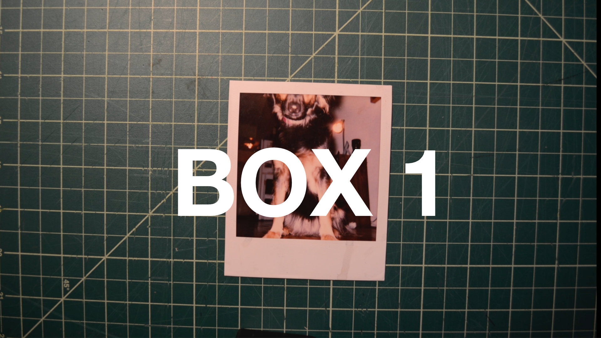 Box 1