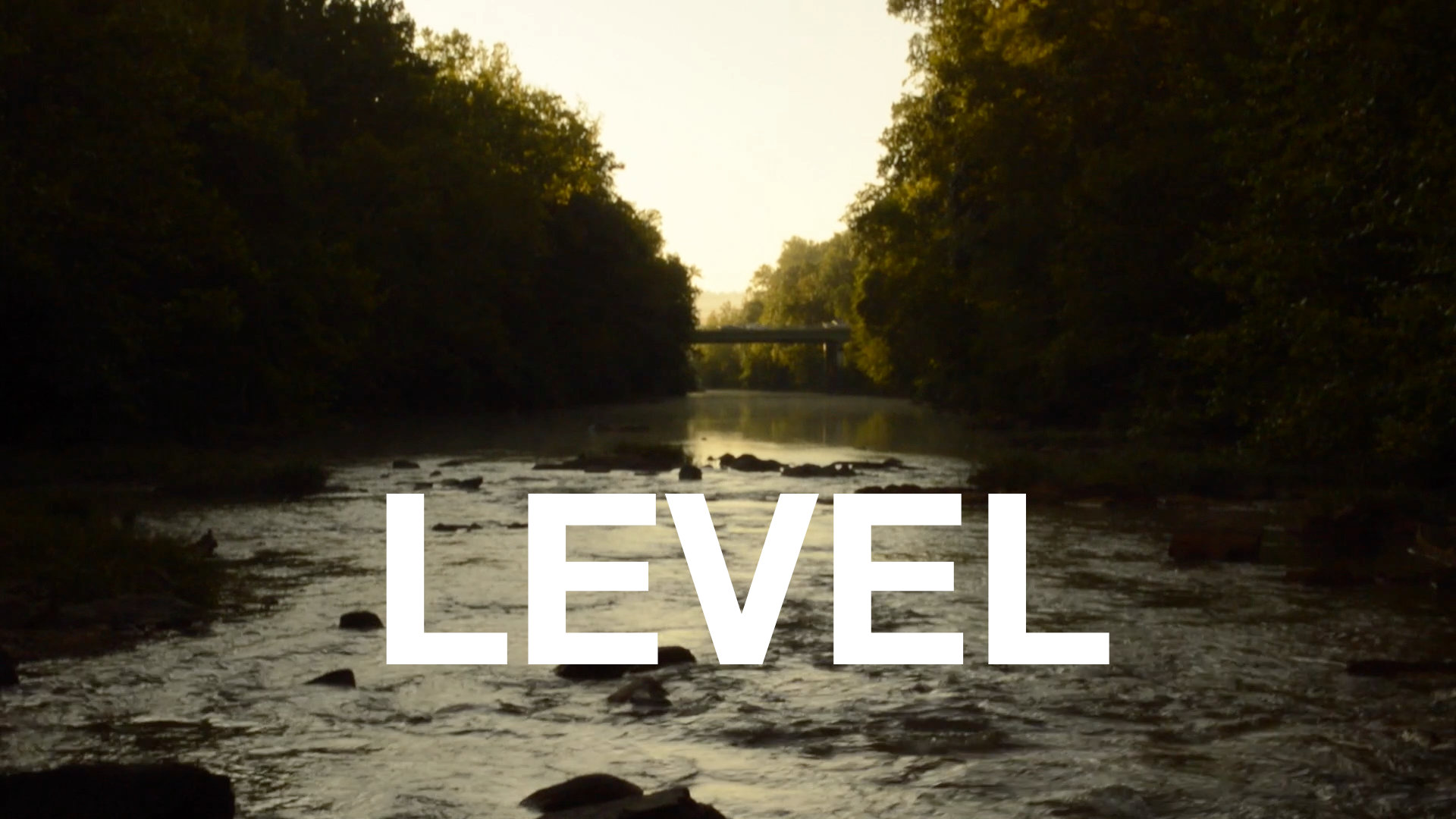 Level