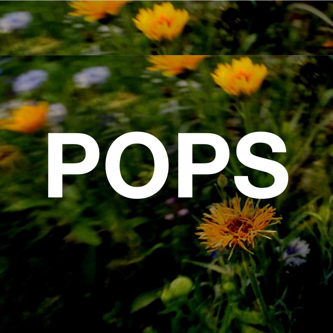 Pops One Minute Movie