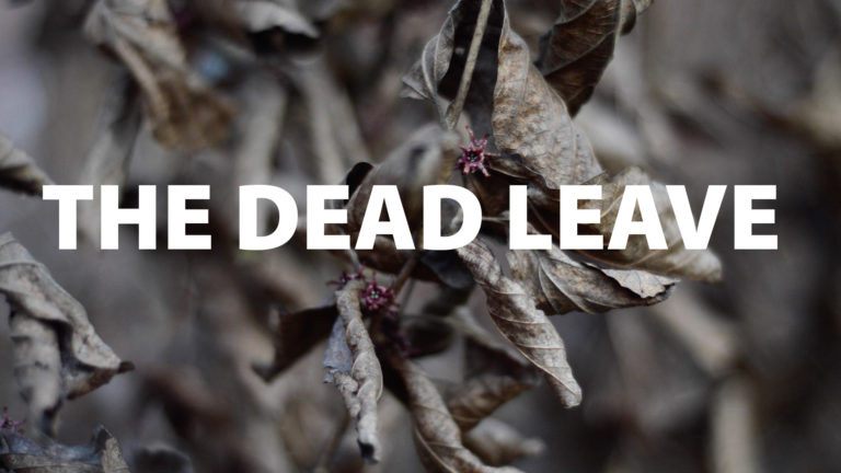 The Dead Leave