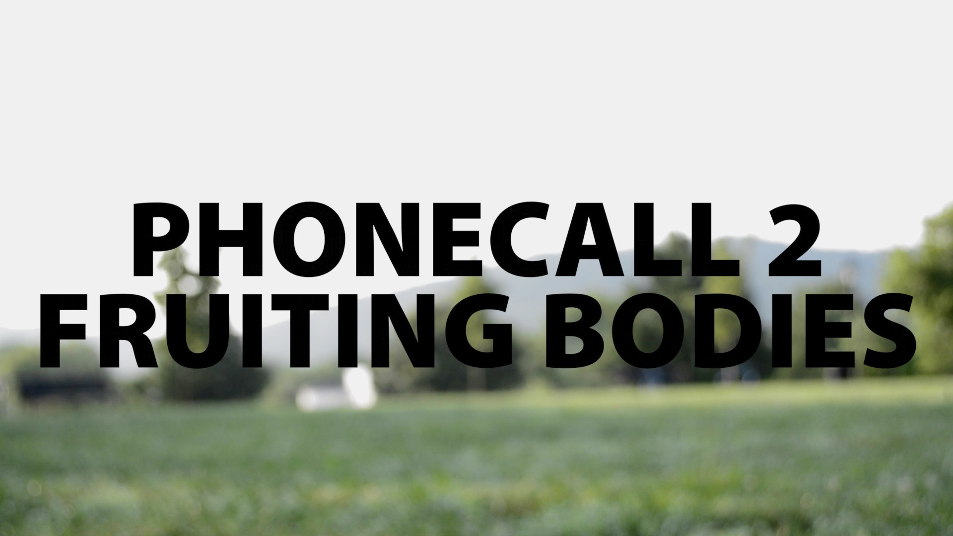 The Phonecall: #2—Fruiting Bodies