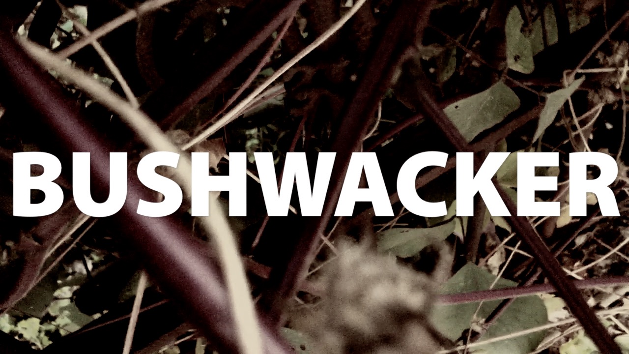 Bushwacker