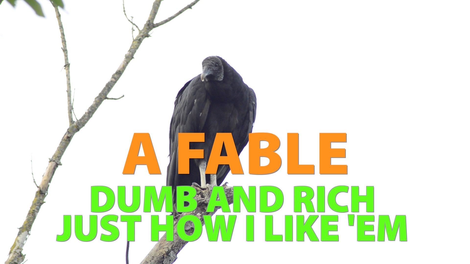 A Fable – Dumb and Rich