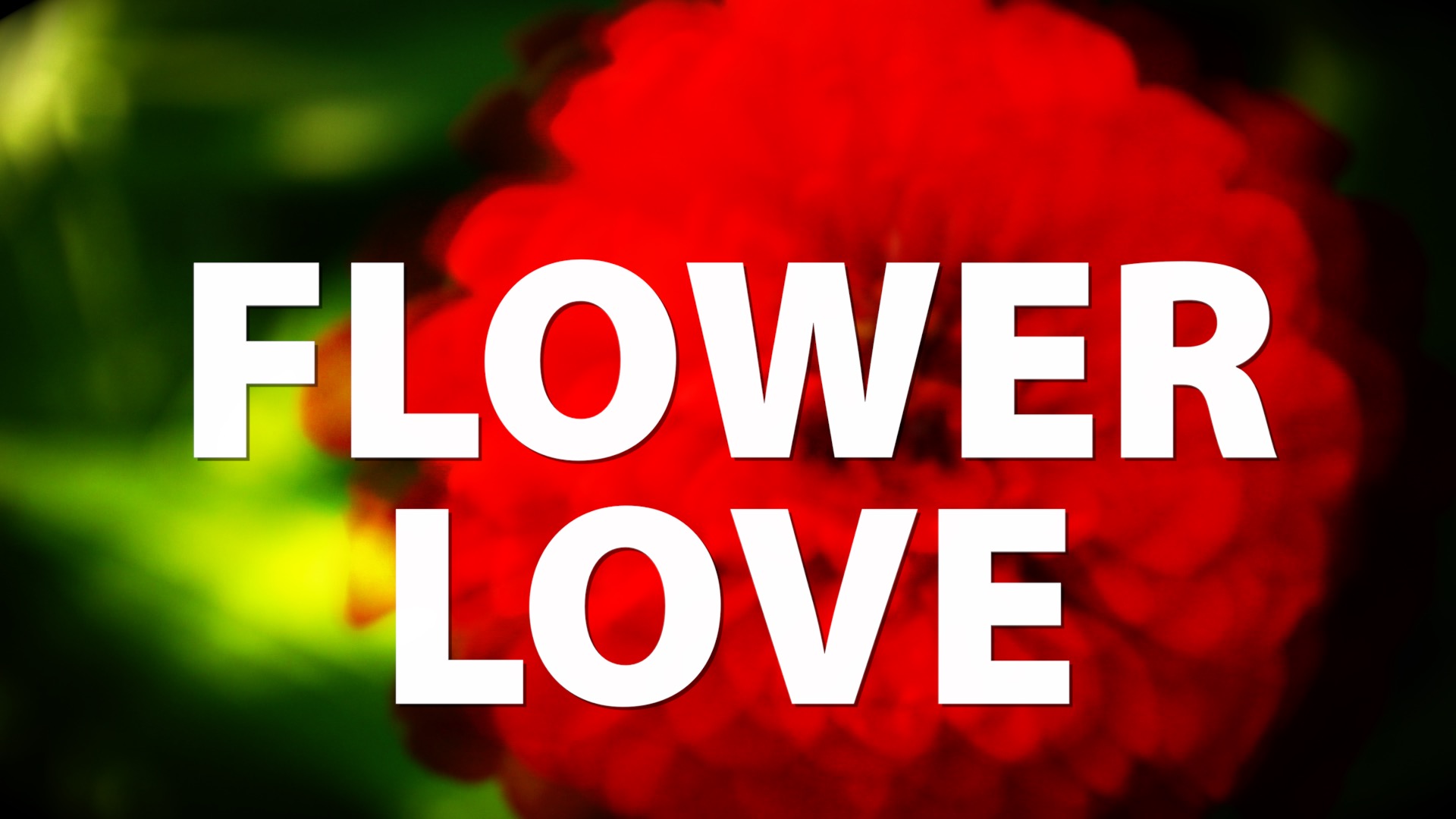 Flower Love