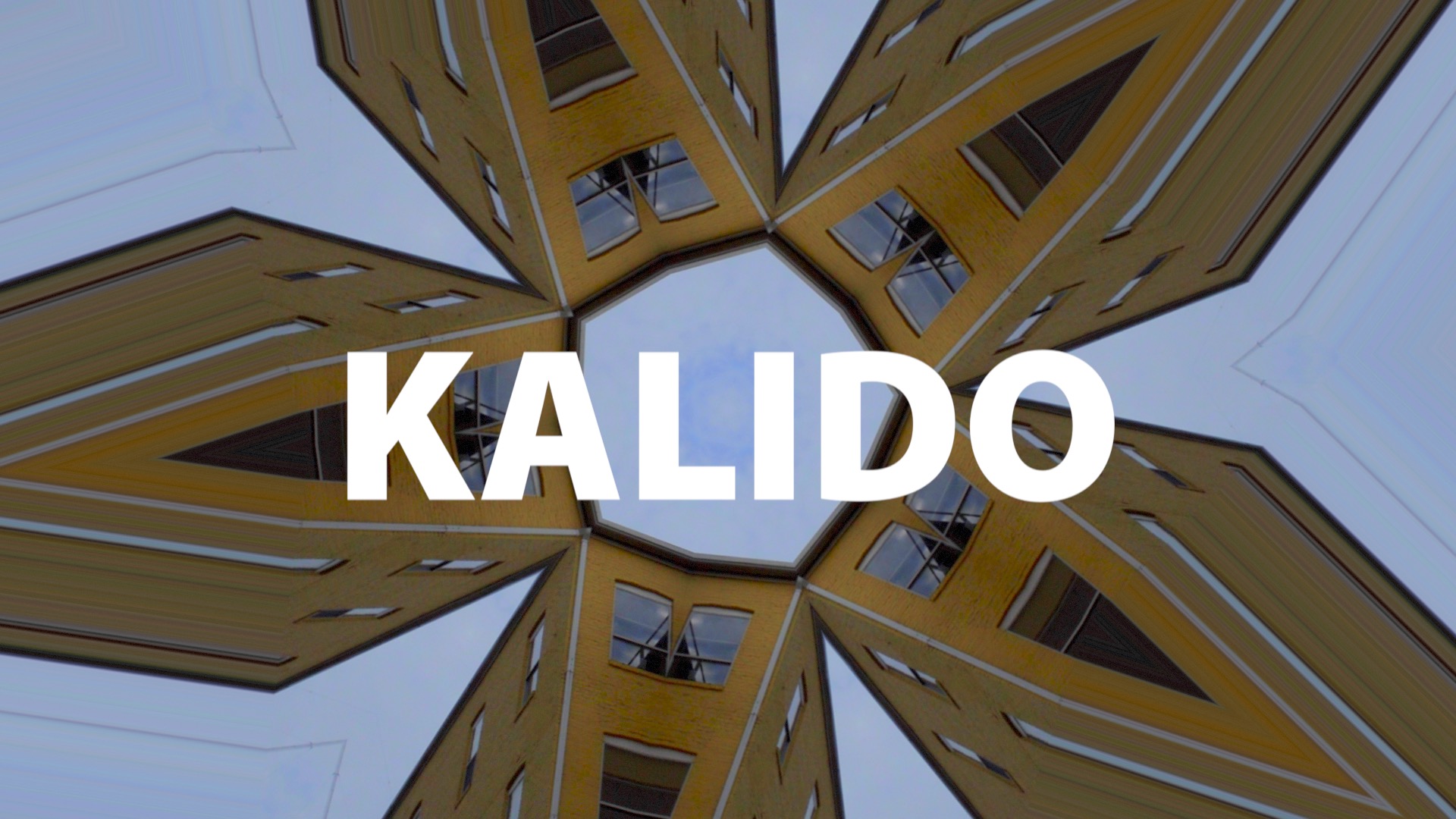 Kalido