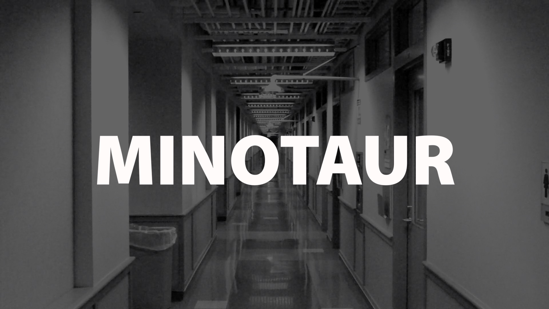 Minotaur