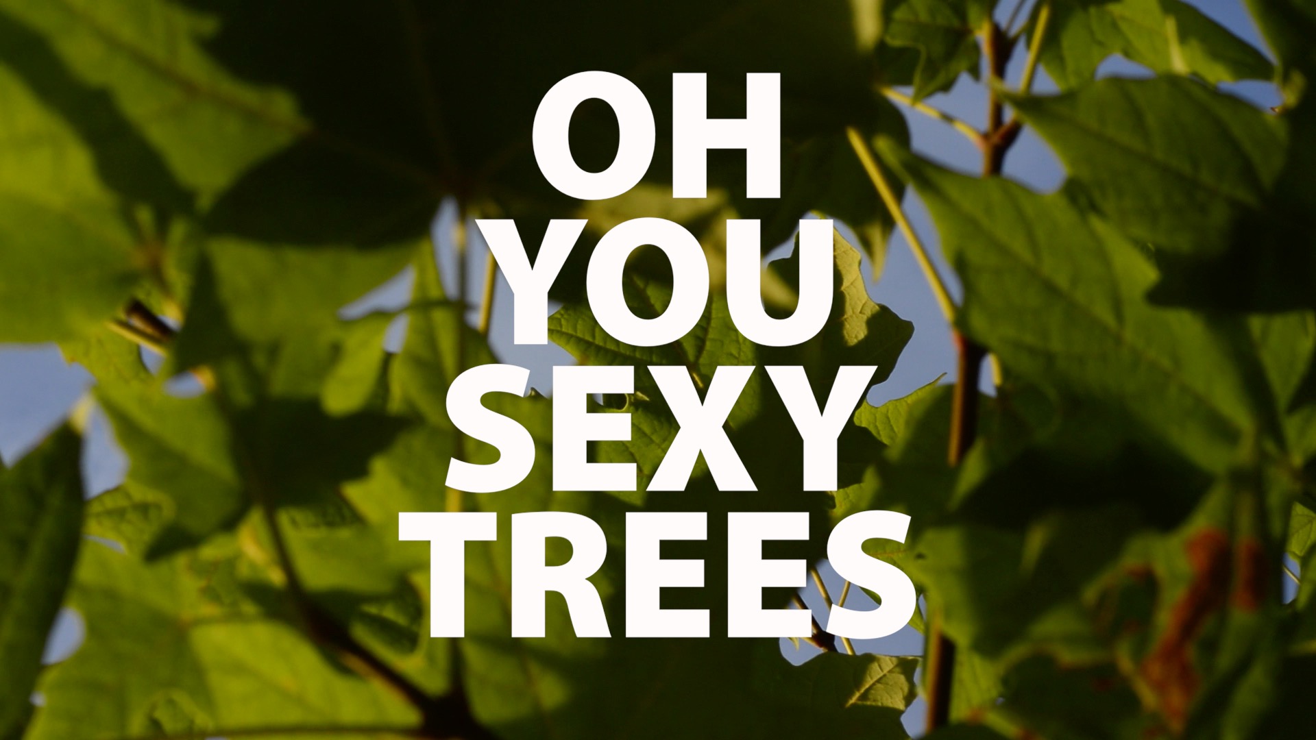 Oh You Sexy Trees