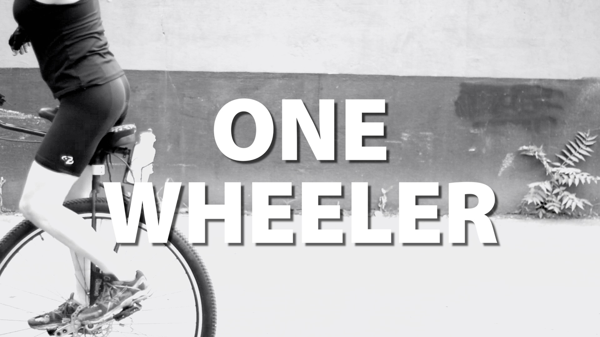 One Wheeler