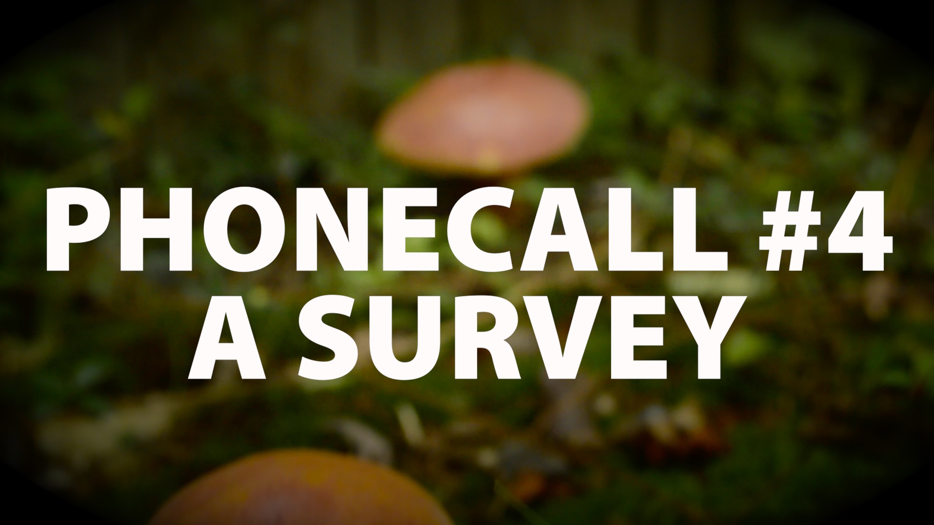 Phonecall: #4 A Survey