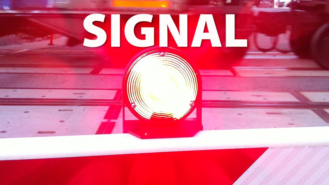 Signal