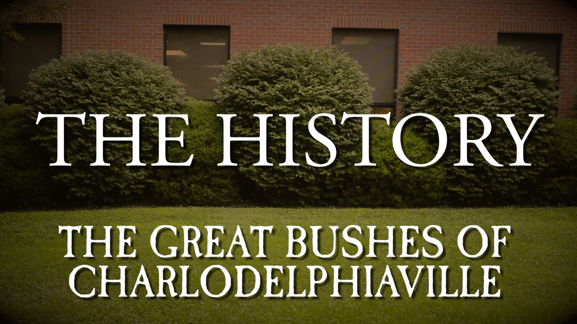 The History – The Great Bushes of Charlodelphiaville