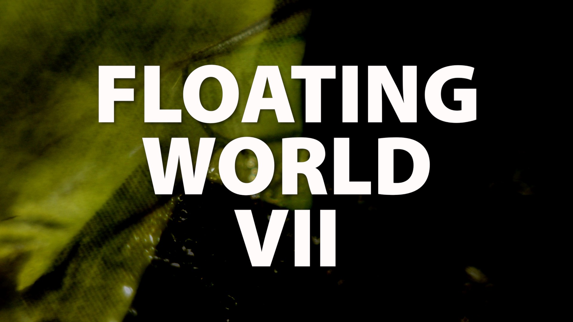 Floating World VII